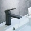Astra Modern Matte Black Basin Mono Mixer Tap + Waste