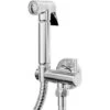Wholesale Domestic Polished Chrome Wall Mounted Douche Shower Spray With Shut Off Valve