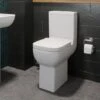 Amelie Comfort Height Toilet & Soft Close Seat