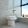 Back To Wall Toilet Ceramic Pan Cloakroom Soft Close Seat Bathroom WC Modern BTW