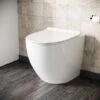 Rimless Round Back To Wall Pan With Soft Close Toilet Seat