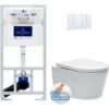 Villeroy & Boch Toilet Set Frame + Swiss Aqua Technologies Rimless Toilet + Chrome Flush Plate (ViConnectSATrimless-1)
