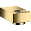 Hansgrohe Shower Holder Porter E For Universal Hand Shower, Polished Gold-optic (28387990)