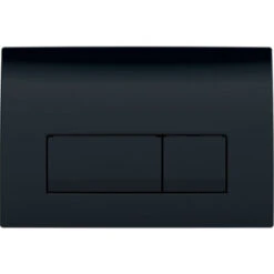 Geberit Delta 50 Dual Flush Plate, Black (115.119.DW.1)